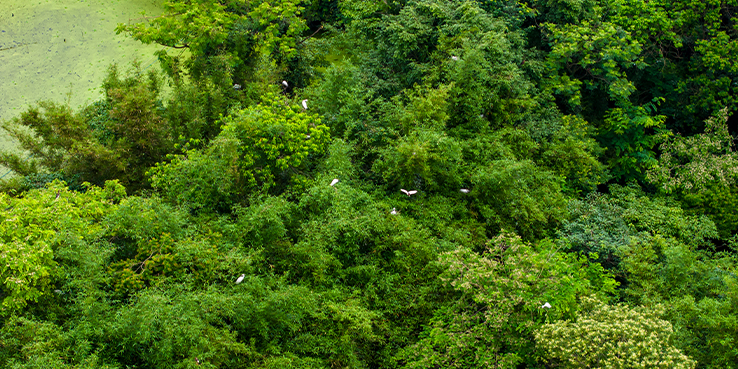 Gestion environnementale