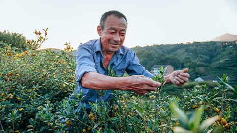 L’industrie au service de la revitalisation rurale